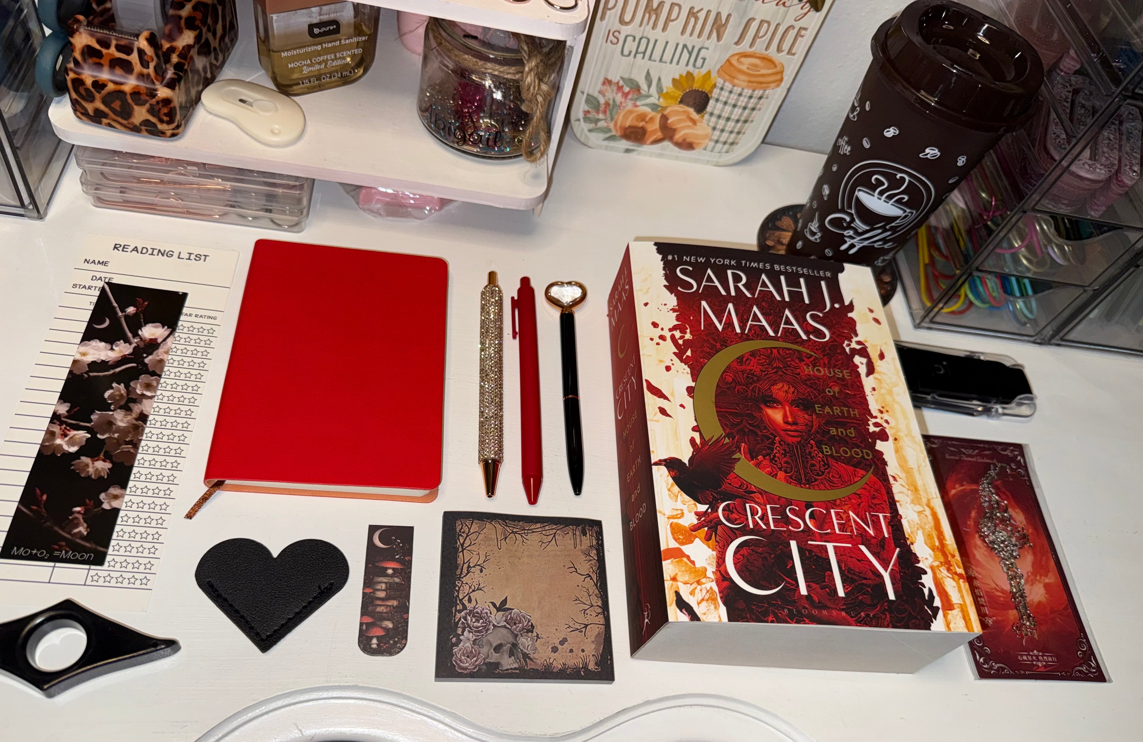 📚✨The Open Book Bundle