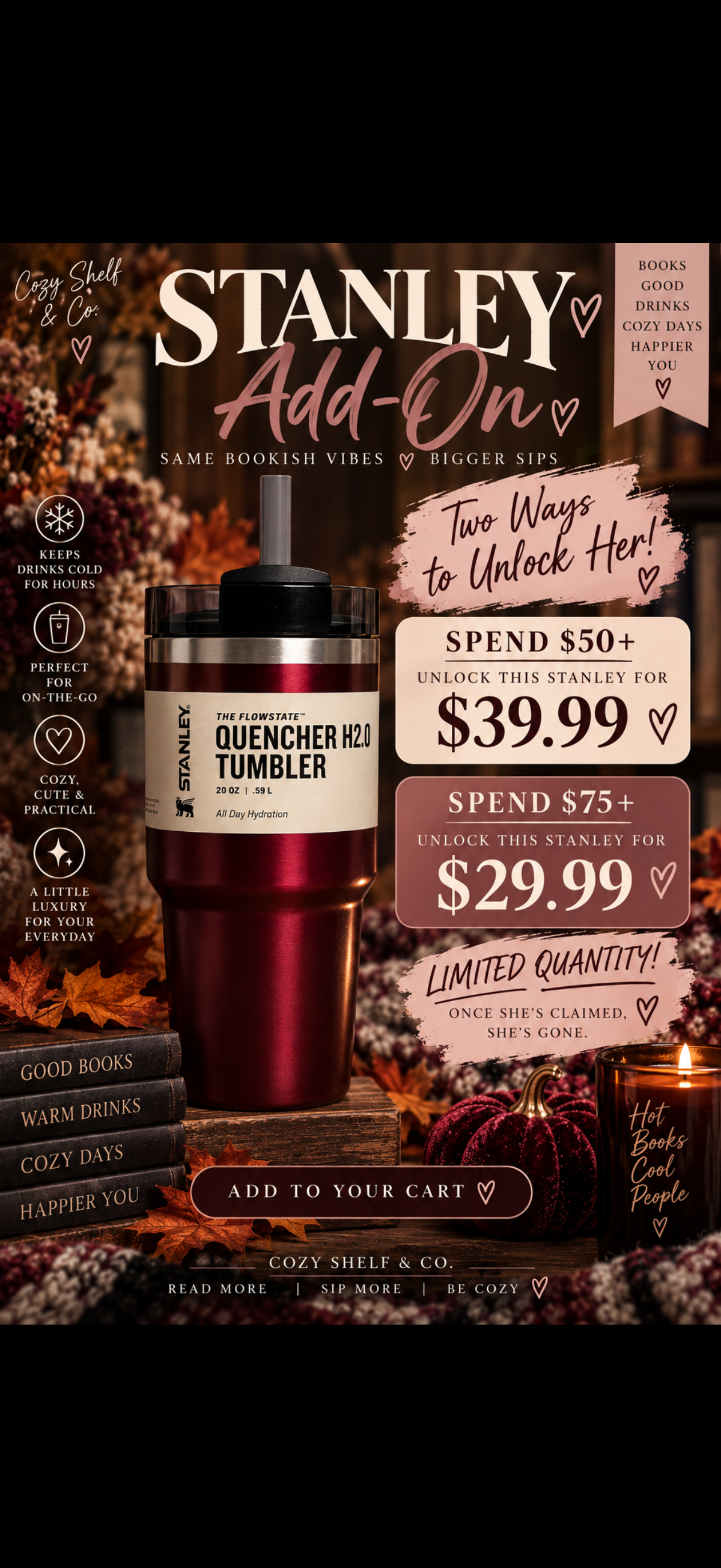 🍷 LIMITED STANLEY ADD-ON 🍷